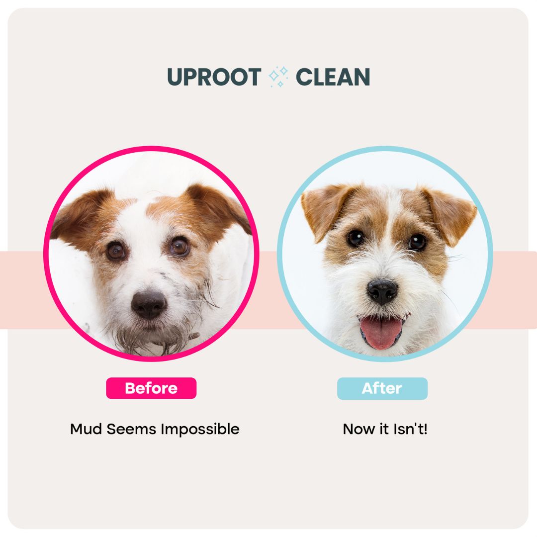 Uproot™ Grooming Gloves Pro - Image 2