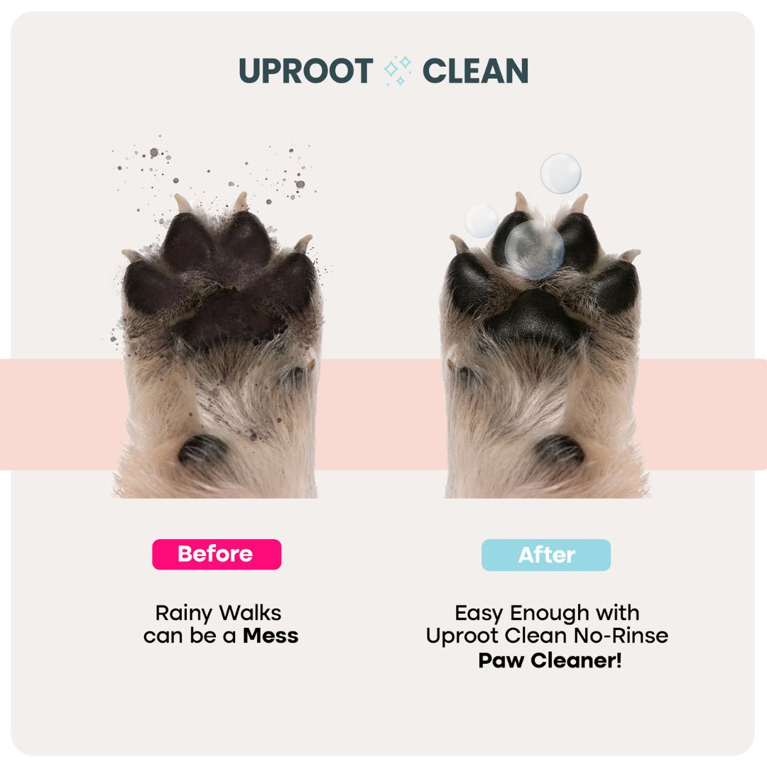 Uproot Paw Cleaner - Rinse-Free Foam Cleanser (150 Uses) - Image 2