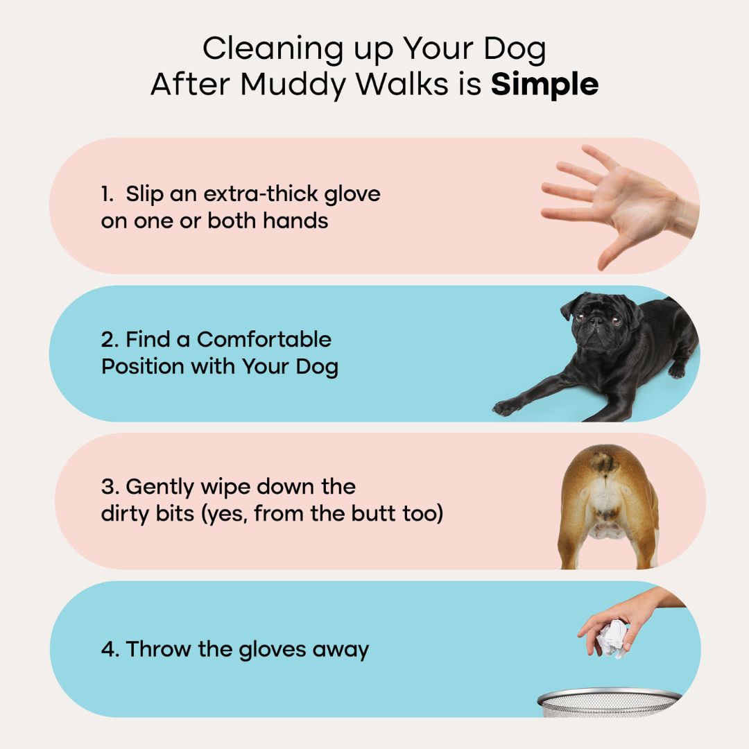 Uproot™ Grooming Gloves Pro - Image 5