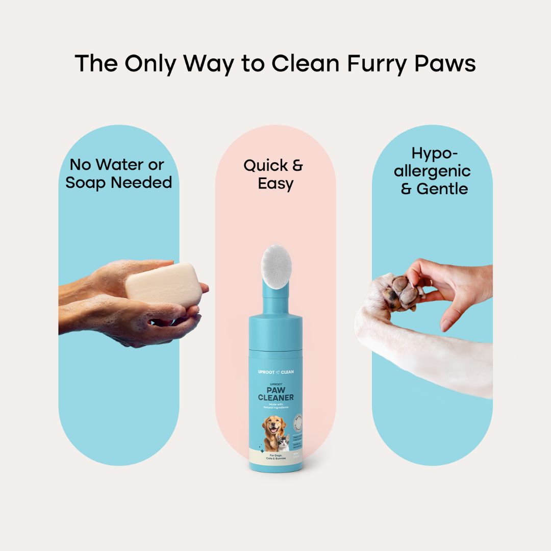 Uproot Paw Cleaner - Rinse-Free Foam Cleanser (150 Uses) - Image 7