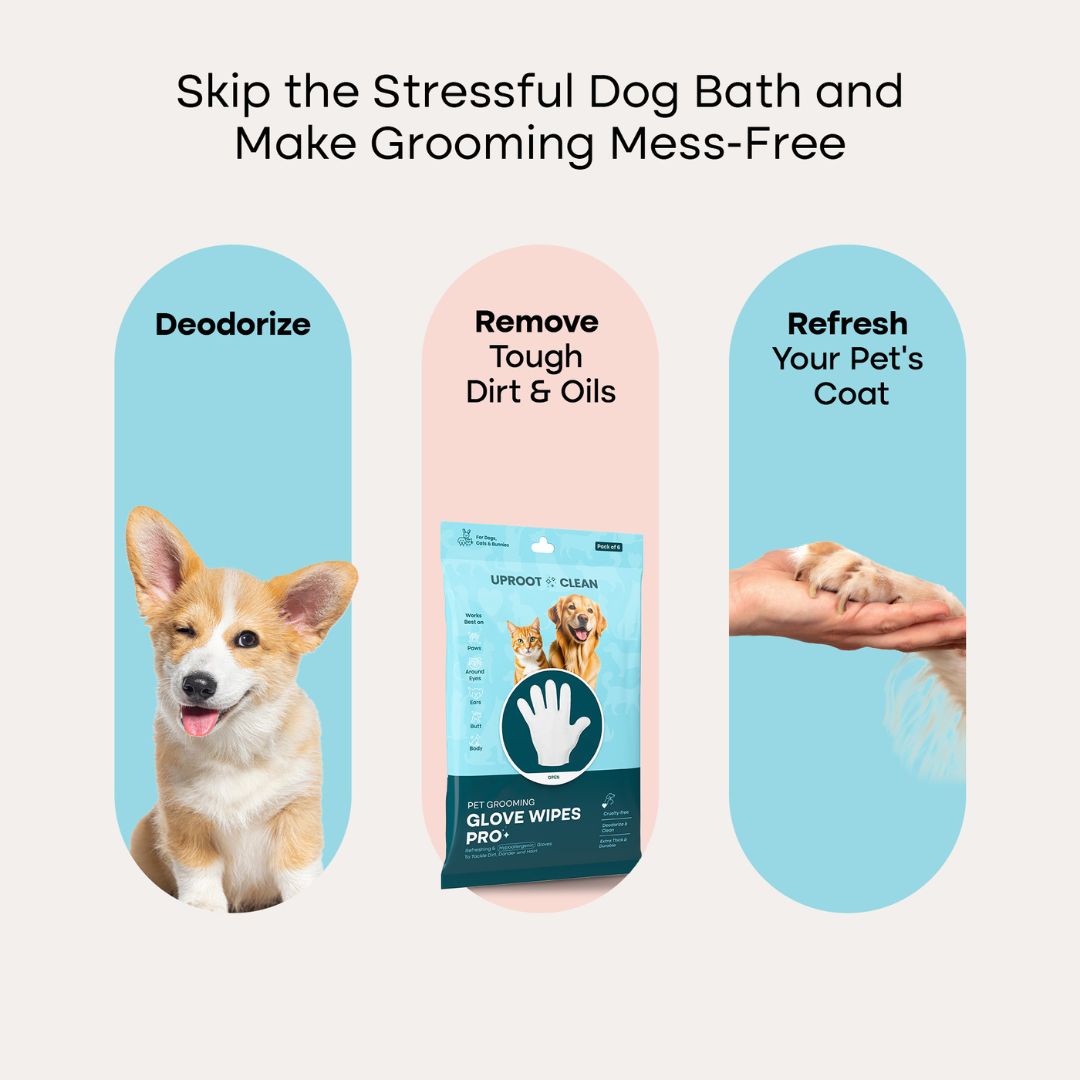 Uproot™ Grooming Gloves Pro - Image 6