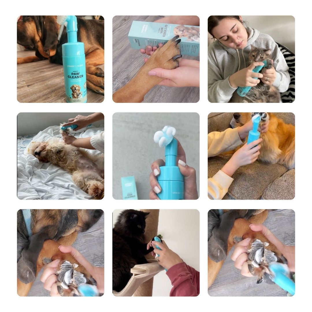 Uproot Paw Cleaner - Rinse-Free Foam Cleanser (150 Uses) - Image 5